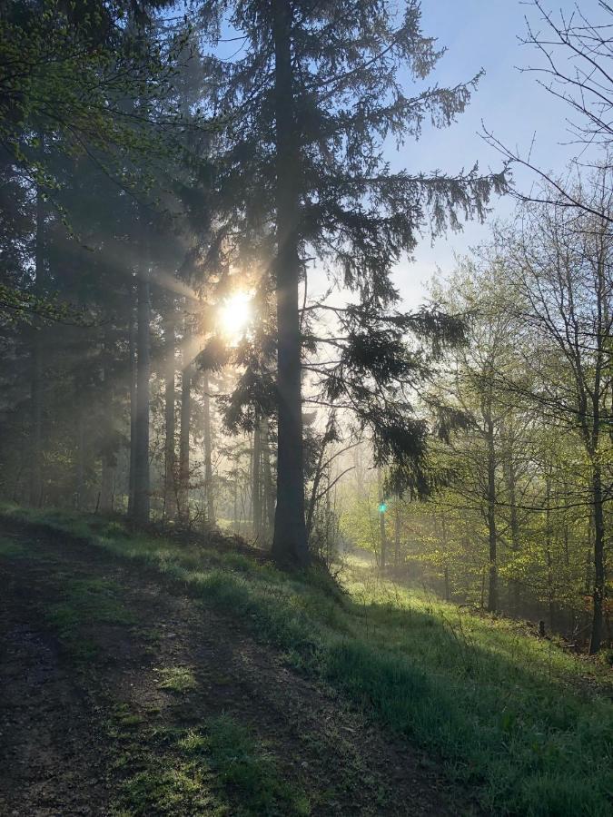 Villa Hainberg Rauschenbach Eksteriør bilde